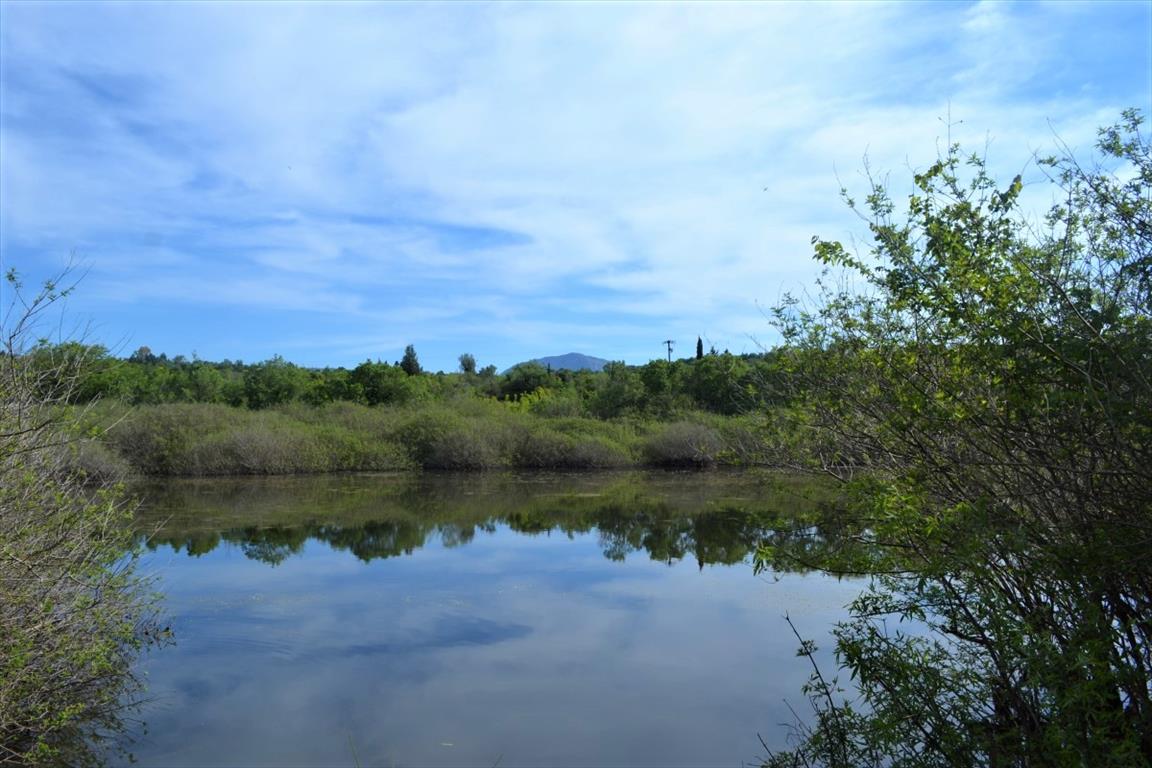 Terreno a Corfù, Grecia, 72 000 m2 - foto 2