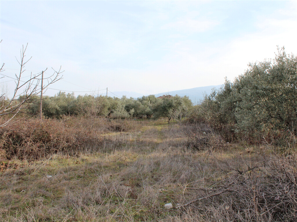 Terreno a Olympiaki Akti, Grecia, 6 500 m2 - foto 2