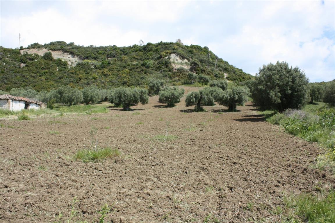 Terrain à Kassandra, Grèce, 4 700 m² - image 2