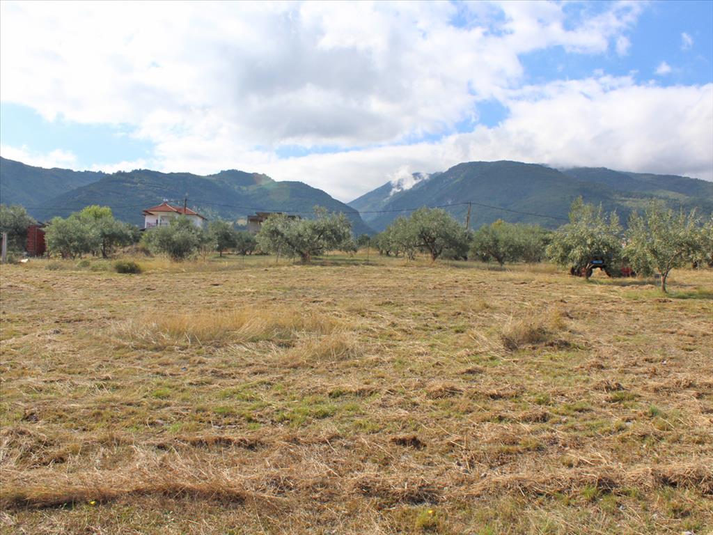 Grundstück in Olympiaki Akti, Griechenland, 10 300 m² - Foto 2