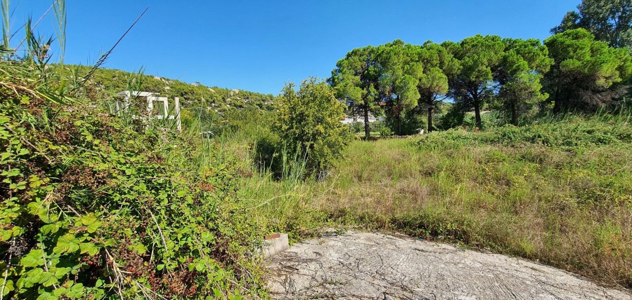 Land in Sithonia, Greece, 2 000 m² - picture 2