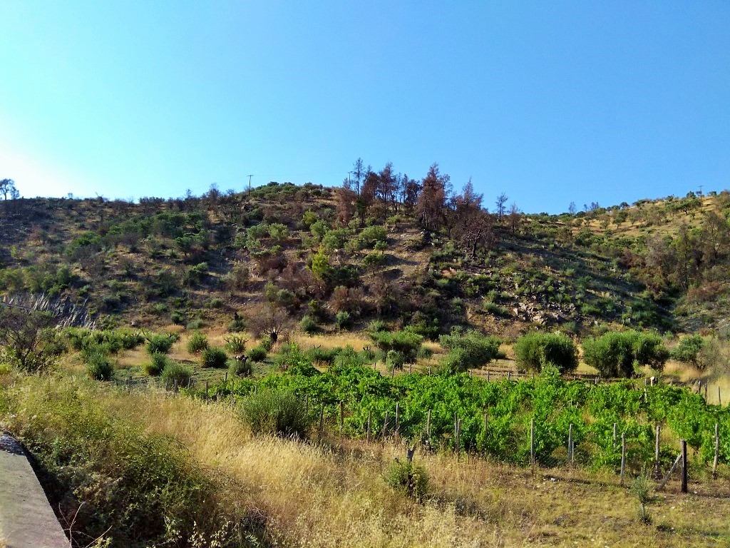 Grundstück in Sithonia, Griechenland, 3 500 m² - Foto 2