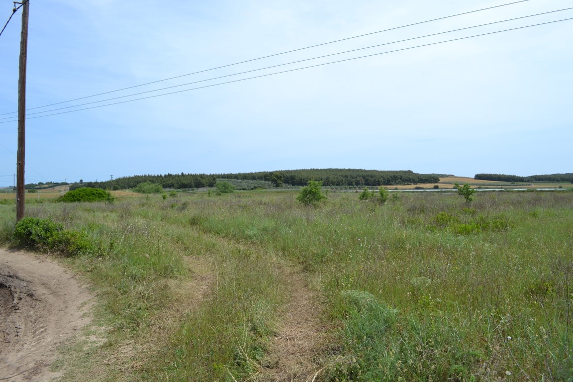 Terreno a Kassandra, Grecia, 3 200 m2 - foto 2