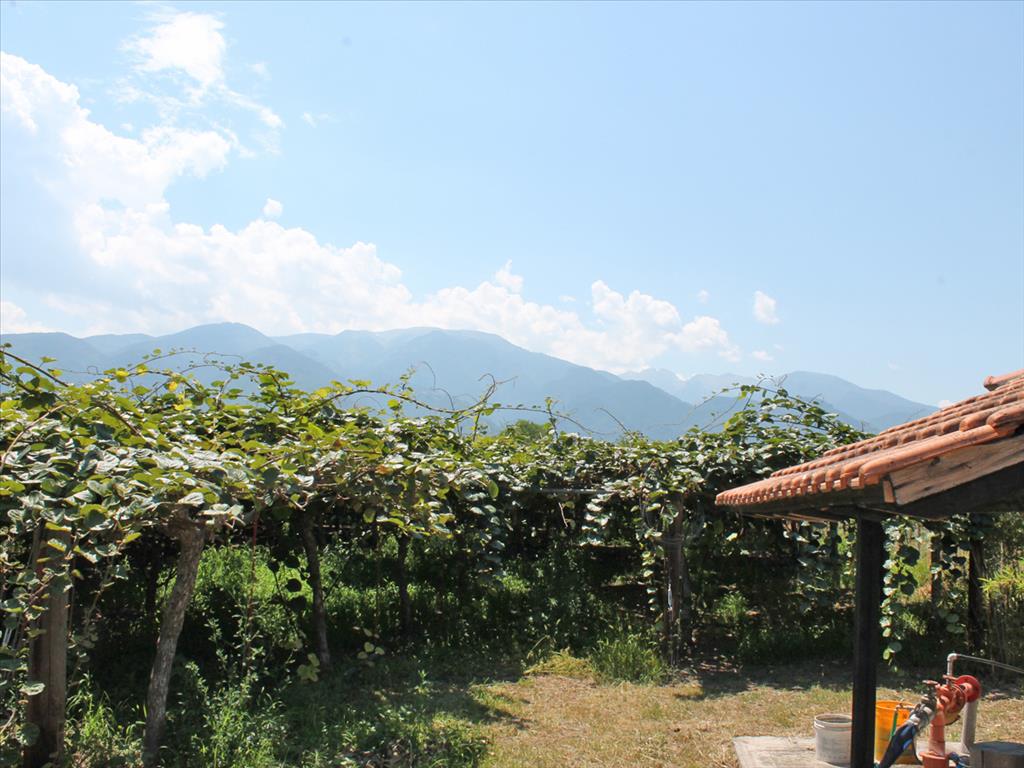 Land in Olympiaki Akti, Greece, 5 000 m² - picture 2