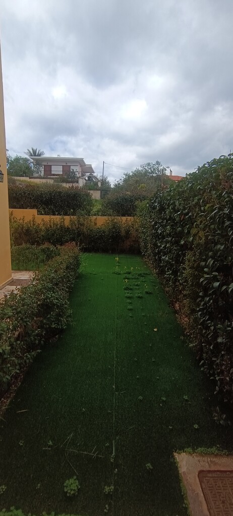 House in Athens, Greece, 153 m² - picture 2