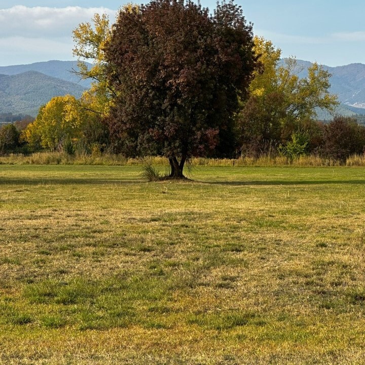 Terreno a Calcidica, Grecia, 10 000 m2 - foto 2