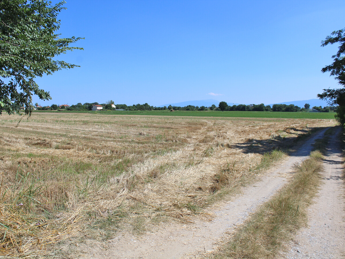 Land in Olympiaki Akti, Greece, 10 000 m² - picture 2