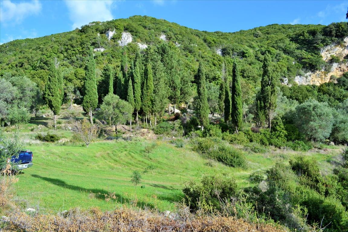 Terrain à Corfou, Grèce, 15 000 m² - image 2