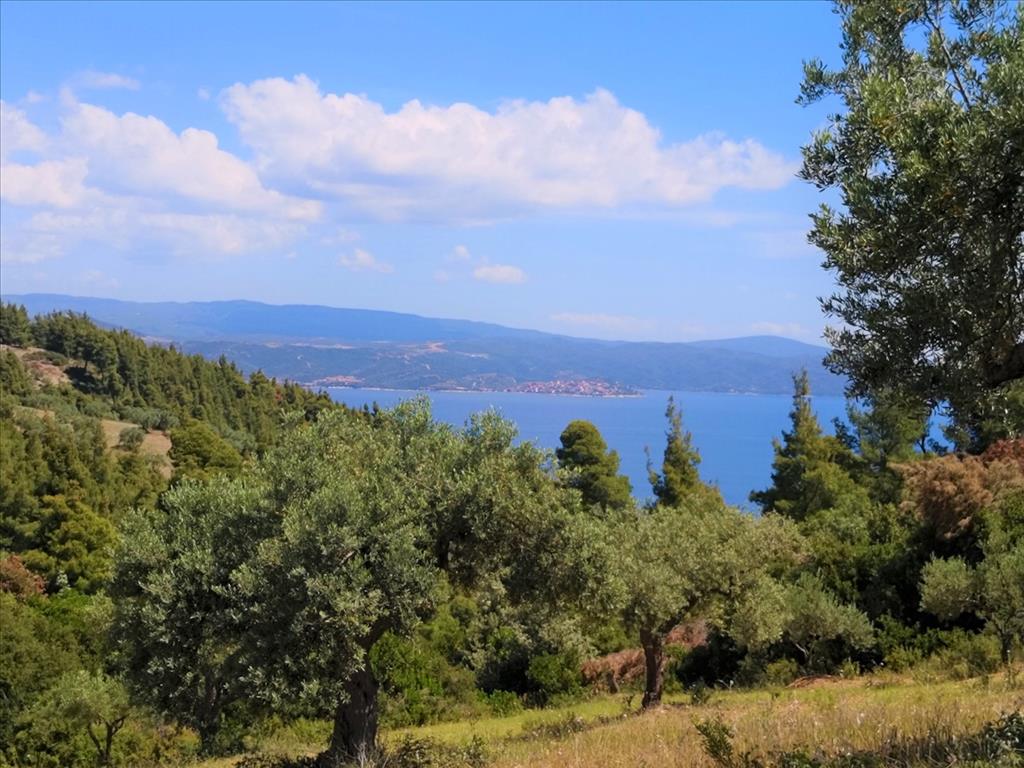Terreno en Sitonia, Grecia, 5 400 m² - imagen 2