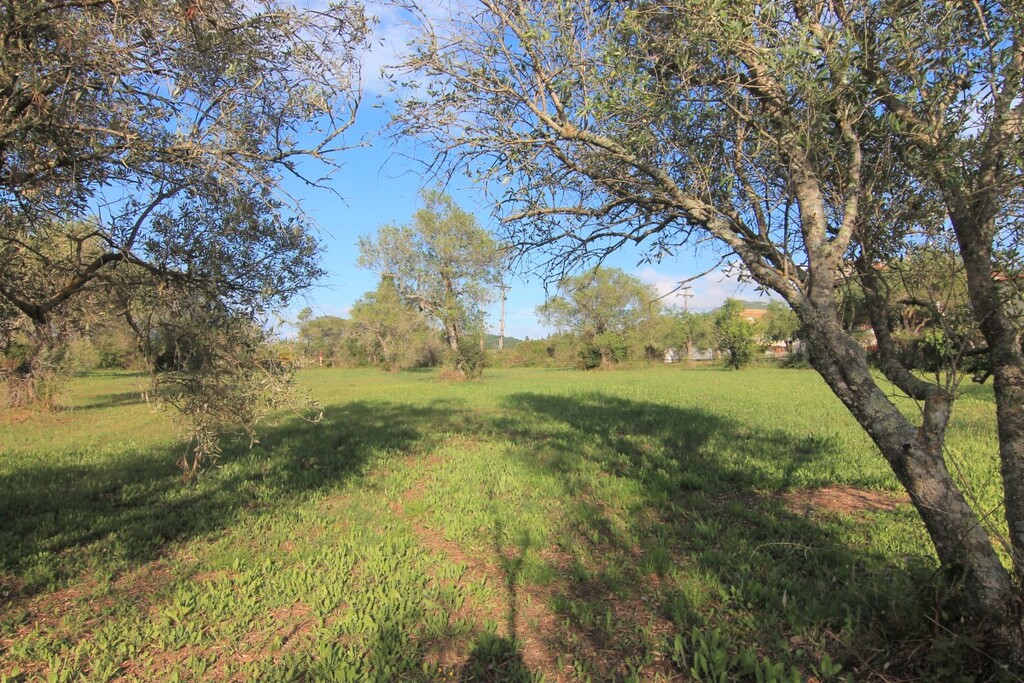 Terrain à Corfou, Grèce, 4 188 m² - image 2