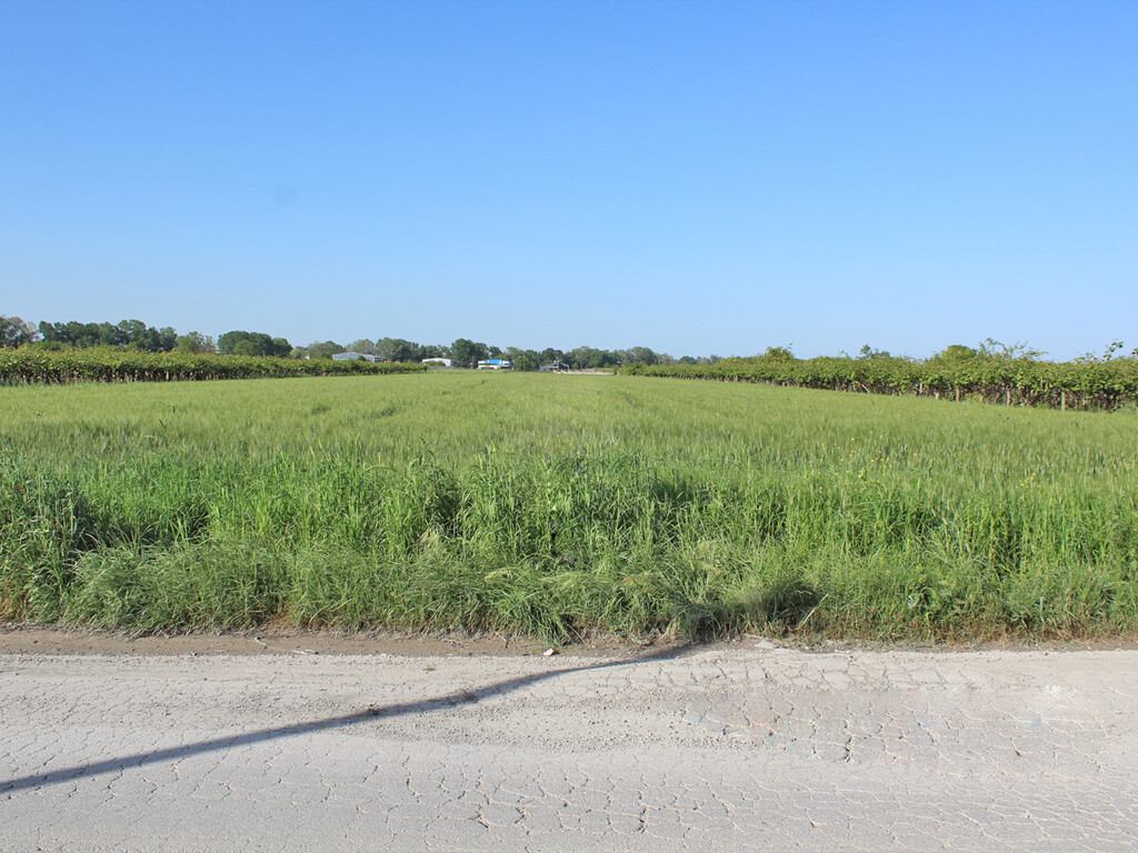Terreno a Olympiaki Akti, Grecia, 8 000 m2 - foto 2