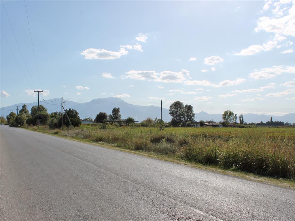 Land in Olympiaki Akti, Greece, 6 750 m² - picture 2