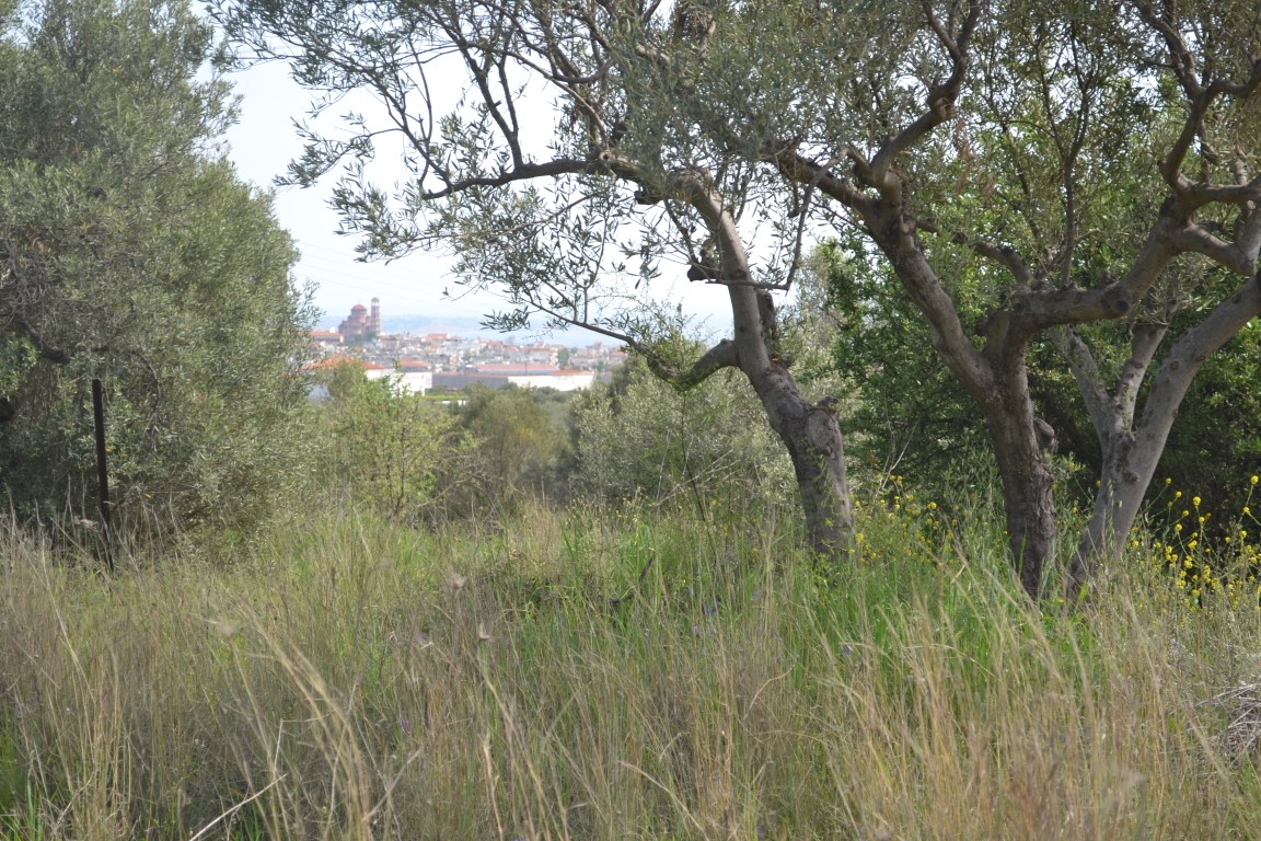 Terreno a Calcidica, Grecia, 3 050 m2 - foto 2