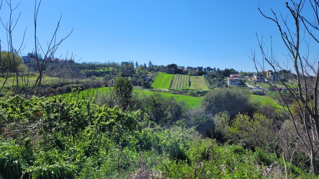 Grundstück in Thessaloniki, Griechenland, 4 625 m² - Foto 2