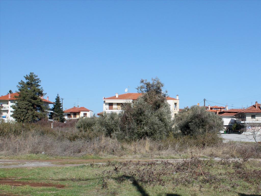 Terreno a Olympiaki Akti, Grecia, 1 123 m2 - foto 2