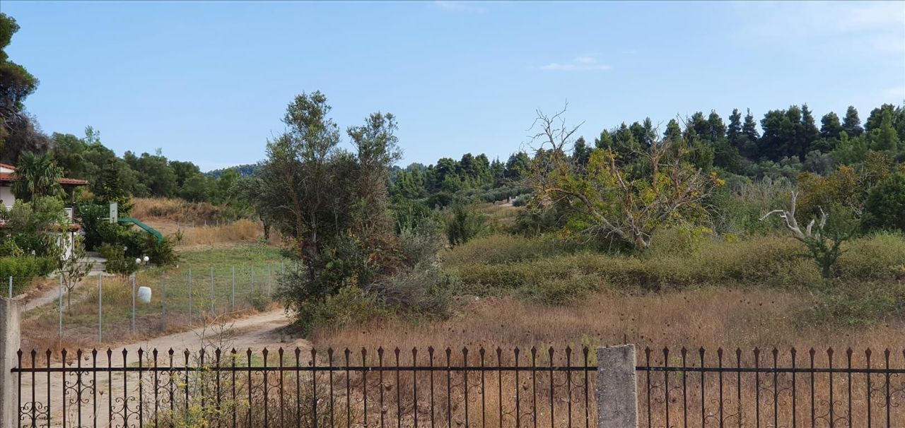 Grundstück in Kassandra, Griechenland, 6 800 m² - Foto 2