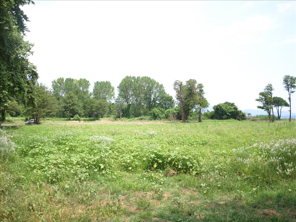 Terreno a Calcidica, Grecia, 10 045 m2 - foto 2