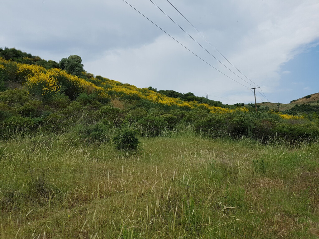 Grundstück in Sithonia, Griechenland, 4 396 m² - Foto 2