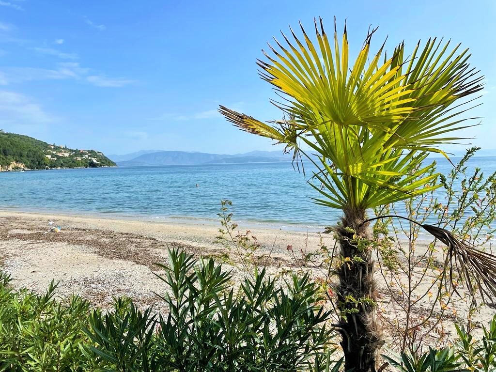 House in Corfu, Greece, 130 m² - picture 2