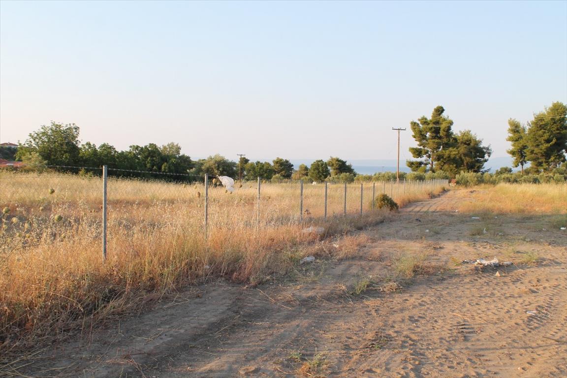 Land in Kassandra, Greece, 12 000 m² - picture 2