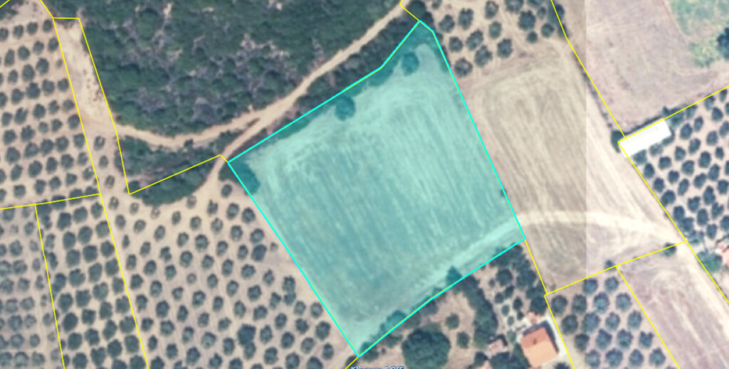 Terrain en Chalcidique, Grèce, 4 959 m² - image 2