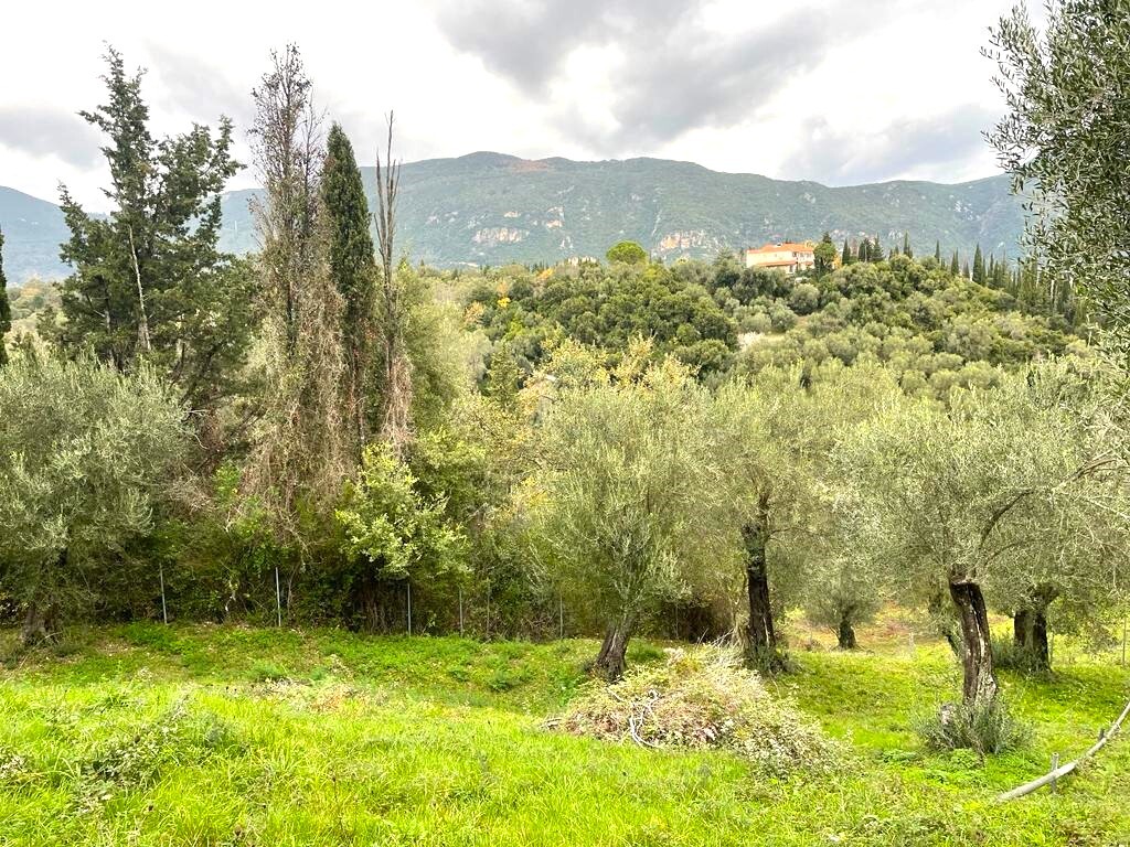 Land in Corfu, Greece, 2 463 m² - picture 2
