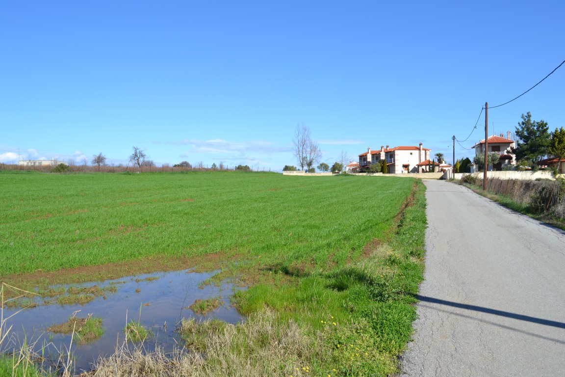 Land in Kassandra, Greece, 6 700 m² - picture 2