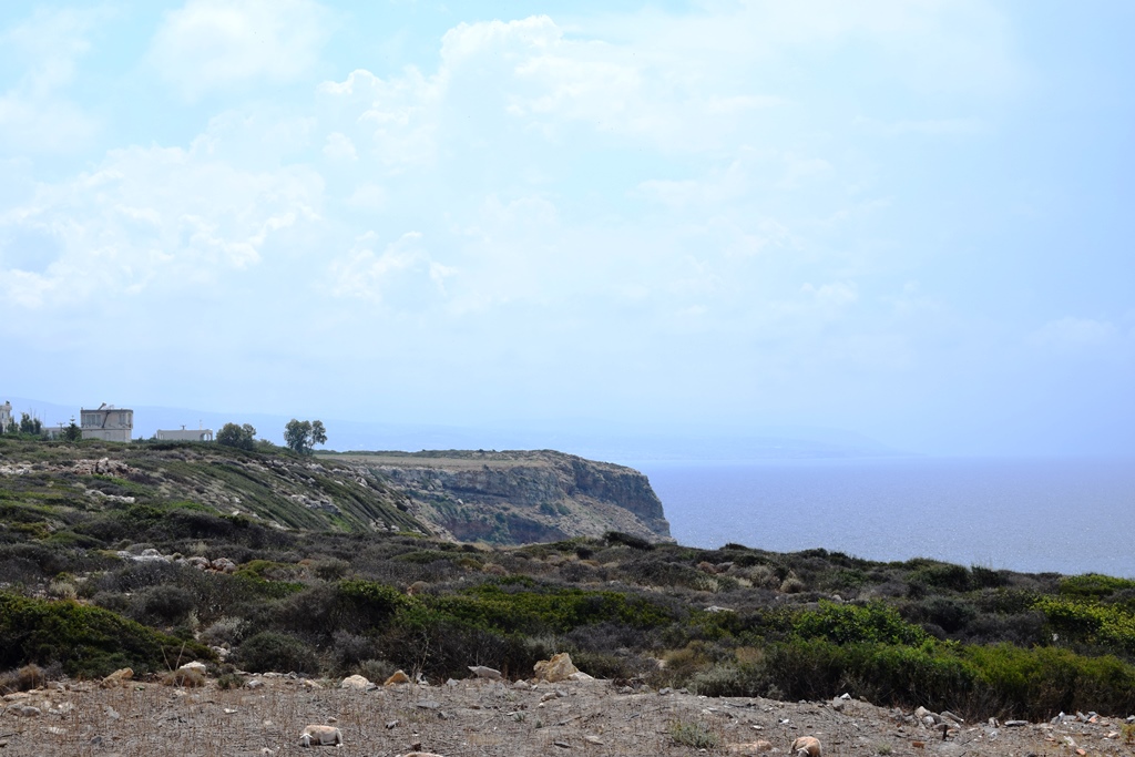 Land in Heraklion, Greece, 15 000 m² - picture 2