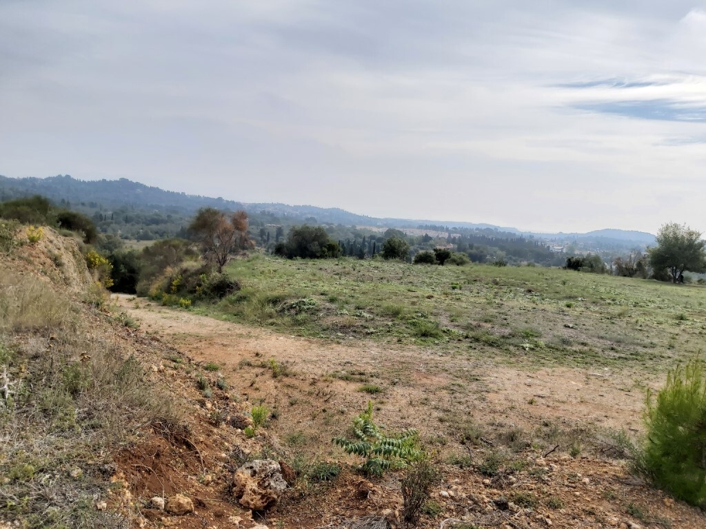 Land in Corfu, Greece, 7 421 m² - picture 2