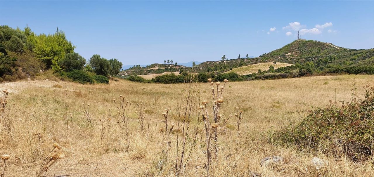 Land in Kassandra, Greece, 30 000 m² - picture 2