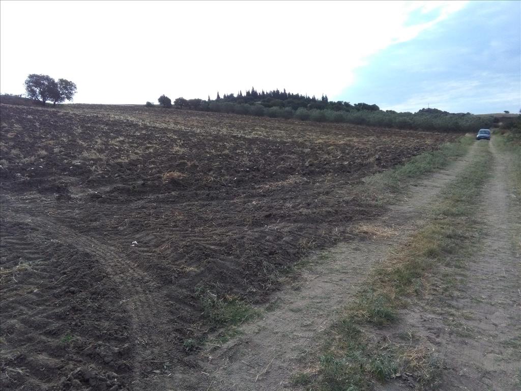 Land in Thessaloniki, Greece, 16 313 m² - picture 2