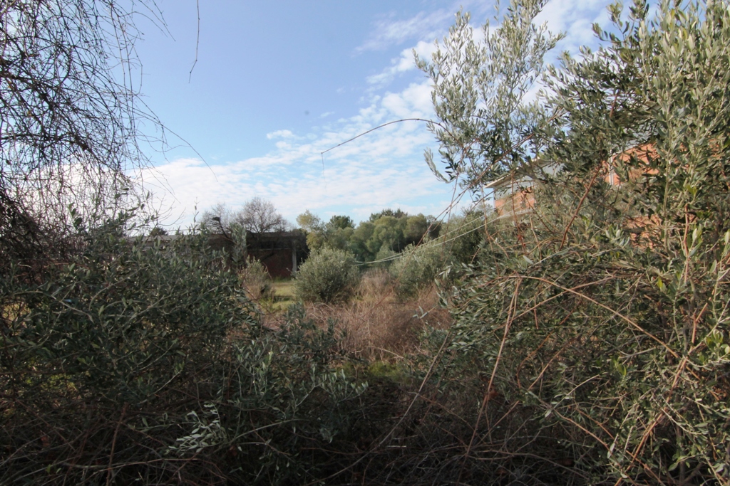 Land in Thessaloniki, Greece, 2 000 m² - picture 2