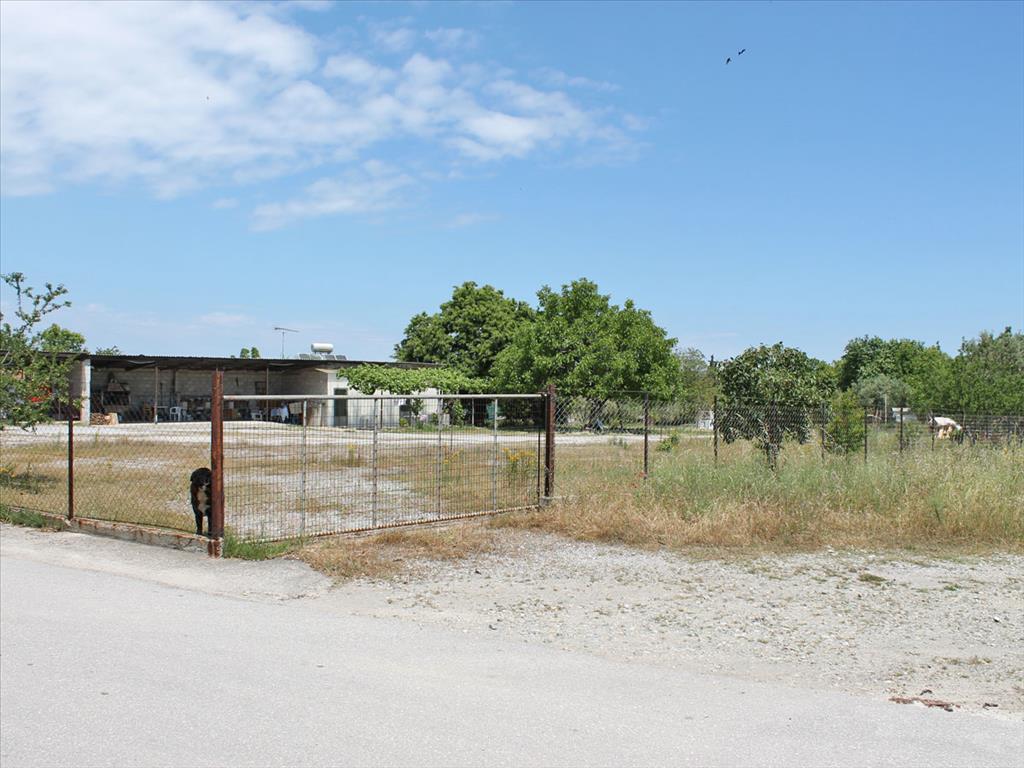 Terreno en Olympiaki Akti, Grecia, 5 950 m² - imagen 2