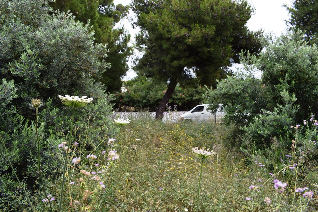 Terrain à Héraklion, Grèce, 392 m² - image 2