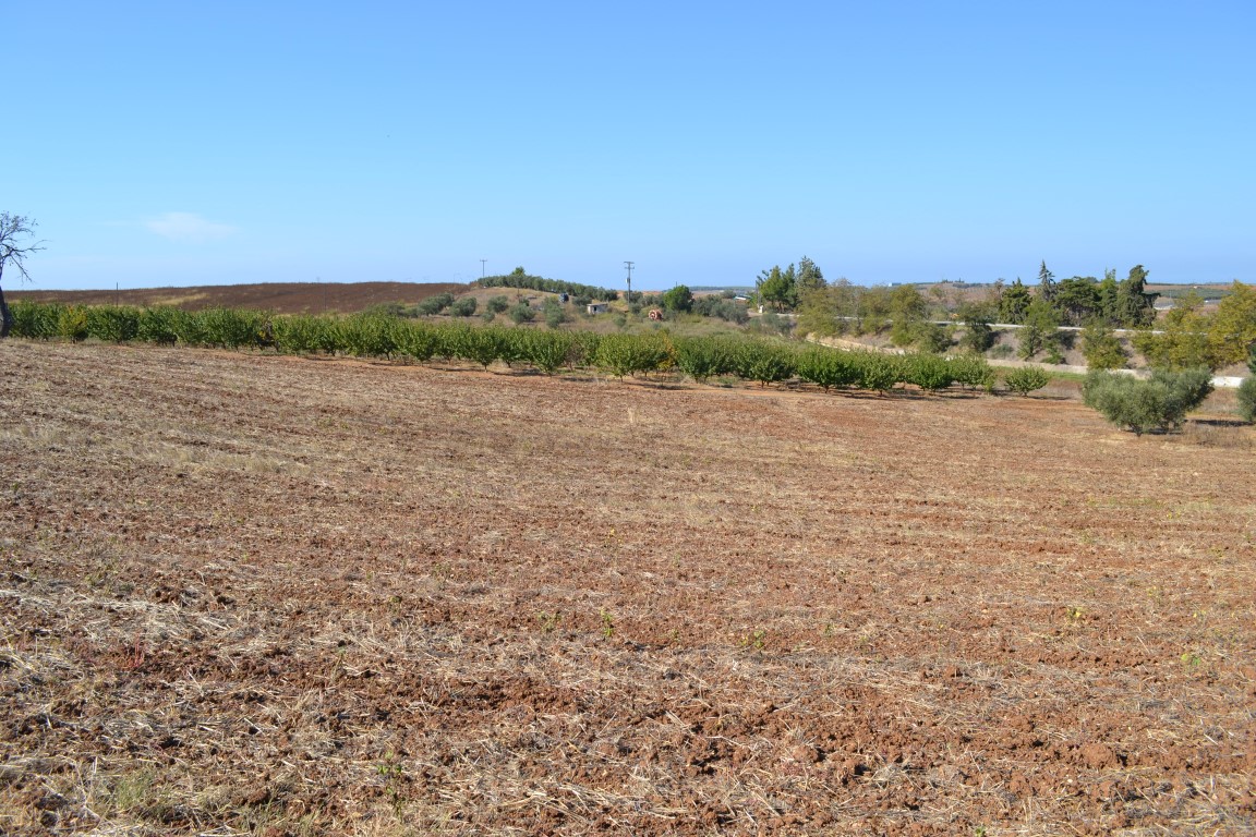 Land in Kassandra, Greece, 20 000 m² - picture 3