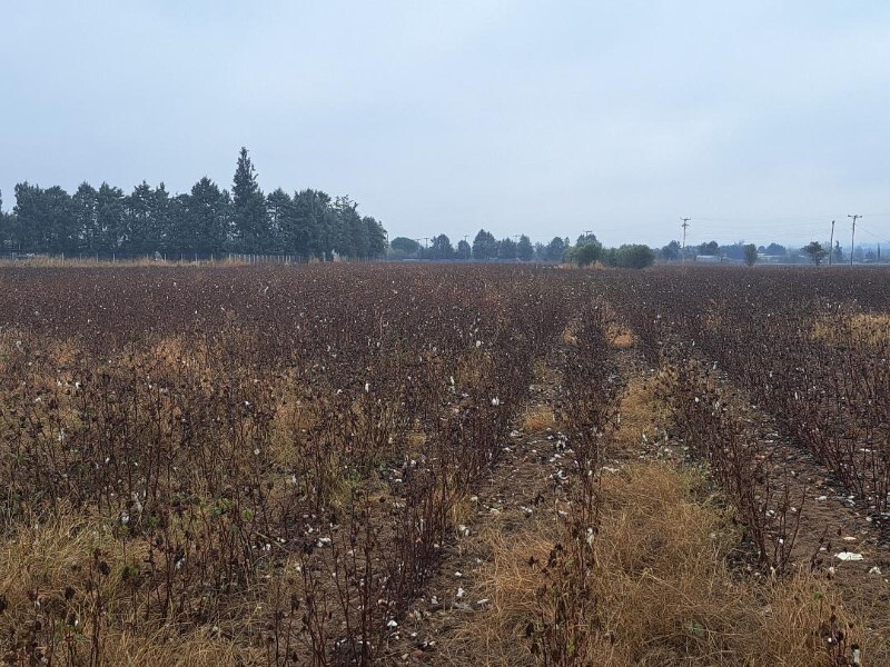 Terreno a Salonicco, Grecia, 12 500 m2 - foto 3