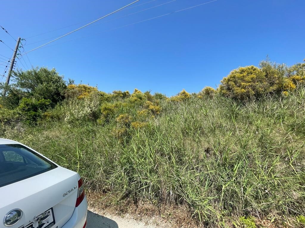 Land in Corfu, Greece, 10 025 m² - picture 3