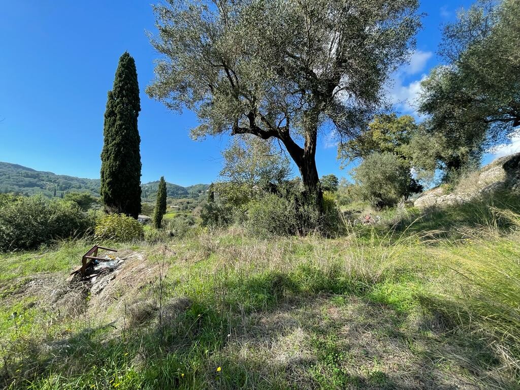 Terrain à Corfou, Grèce, 5 500 m² - image 3