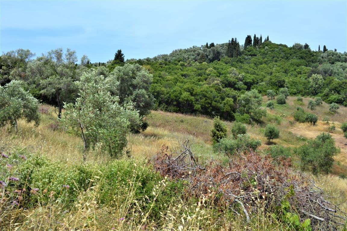 Terreno en Corfú, Grecia, 12 000 m² - imagen 3