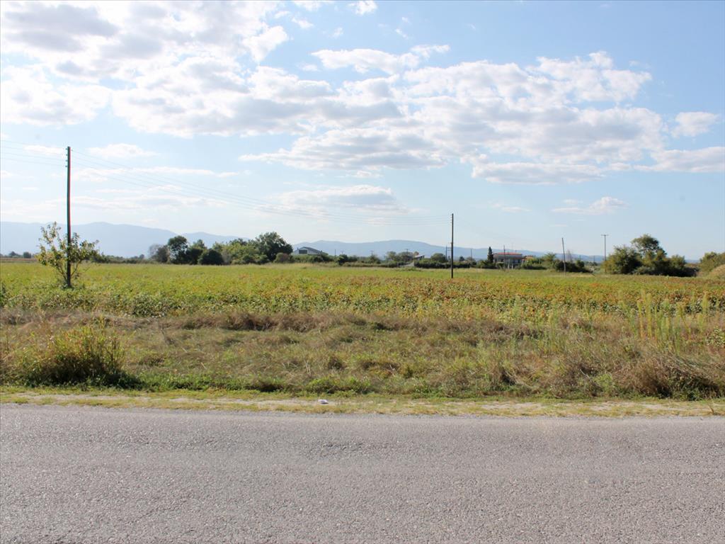 Land in Olympiaki Akti, Greece, 6 750 m² - picture 3