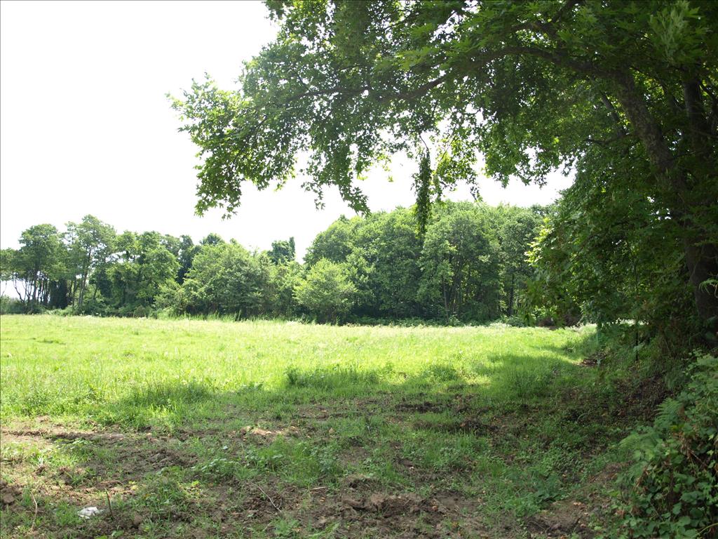 Terreno a Calcidica, Grecia, 10 045 m2 - foto 3