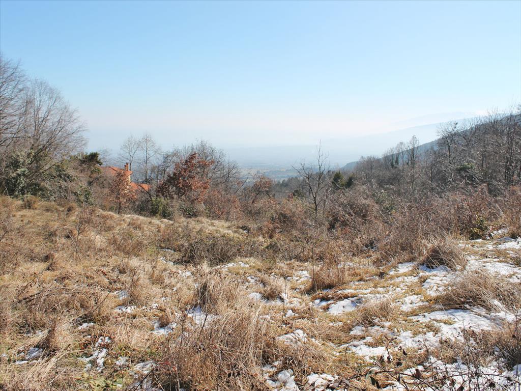 Terreno a Olympiaki Akti, Grecia, 5 500 m2 - foto 3