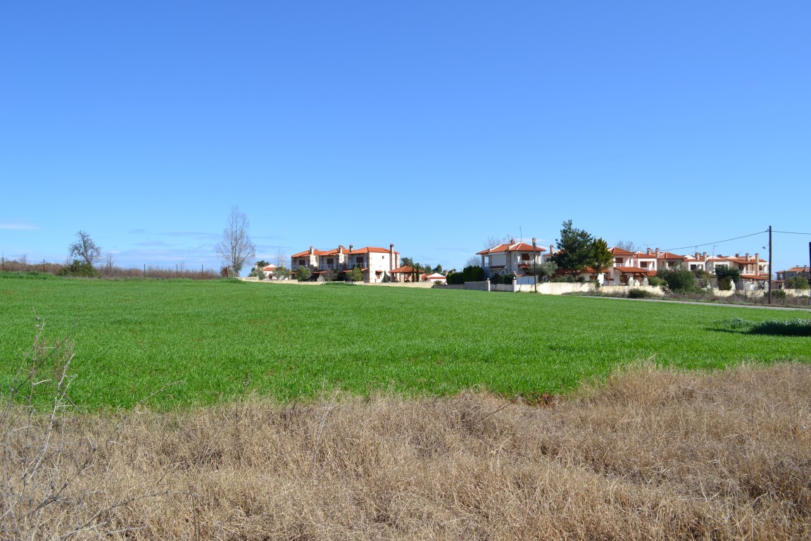 Land in Kassandra, Greece, 6 700 m² - picture 3