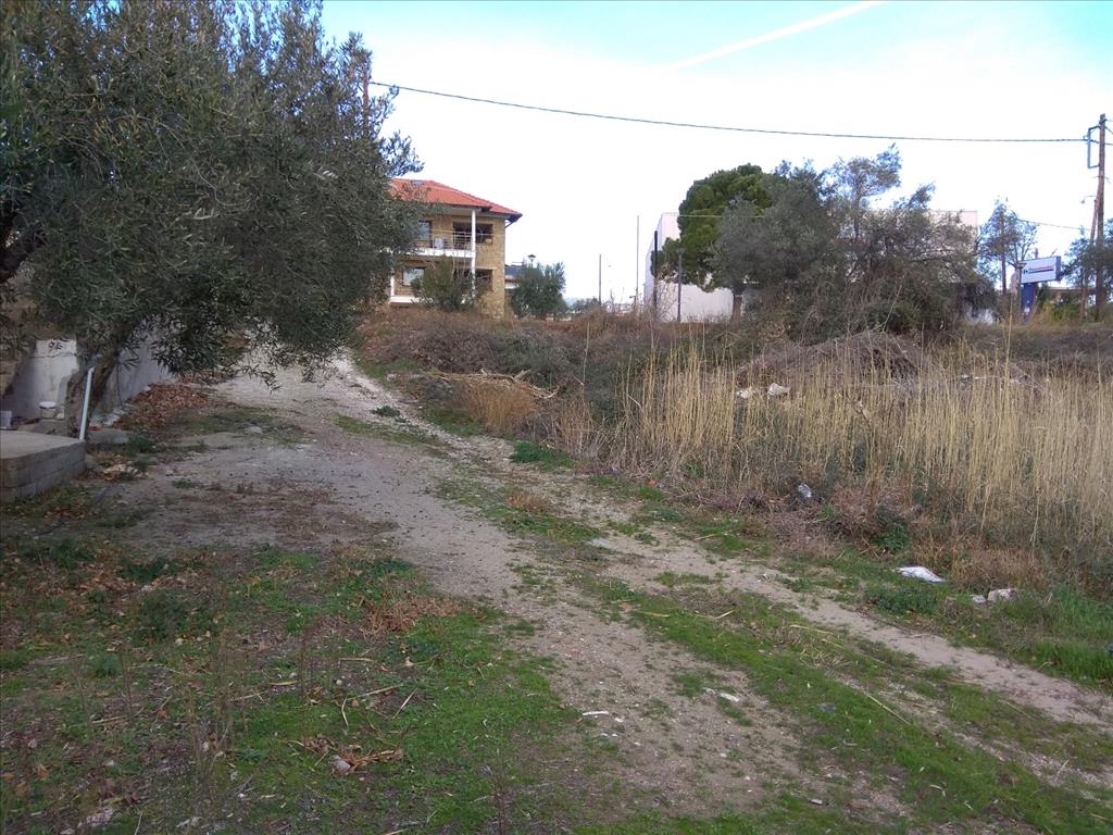 Terreno a Sithonia, Grecia, 1 800 m2 - foto 3