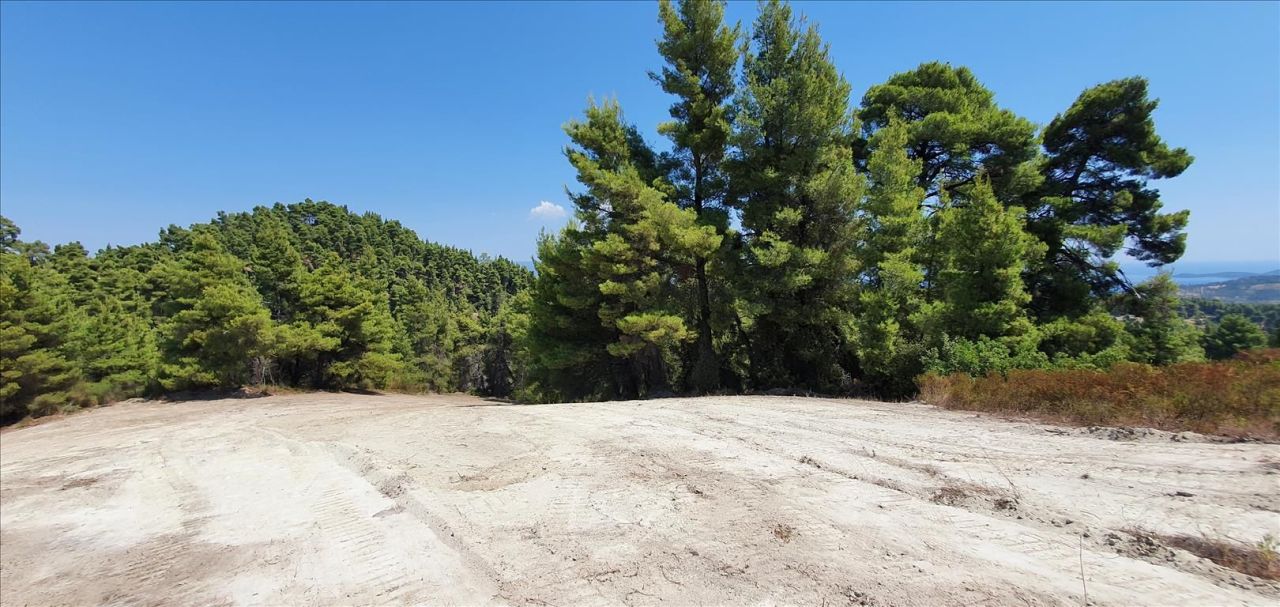 Terreno a Kassandra, Grecia, 16 000 m2 - foto 3
