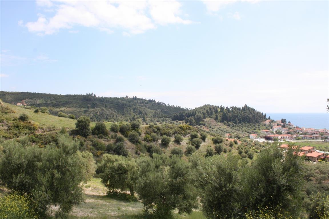 Terreno a Kassandra, Grecia, 23 000 m2 - foto 3