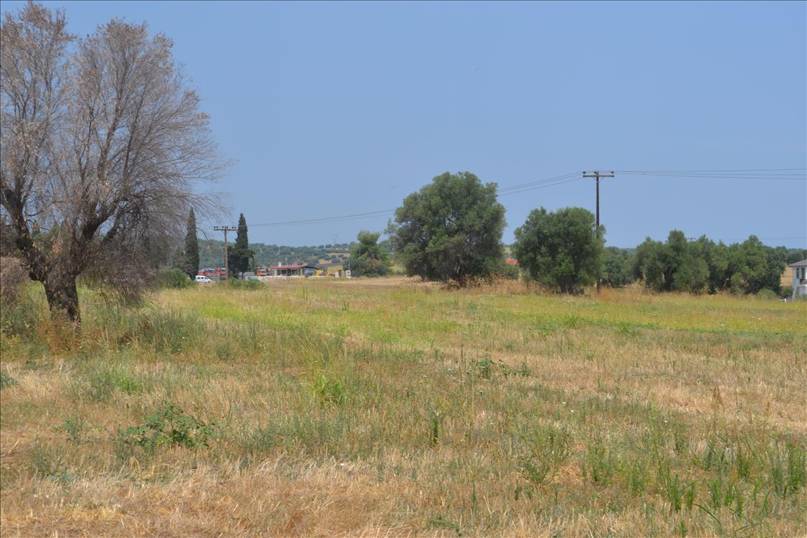 Terrain à Kassandra, Grèce, 15 500 m² - image 3