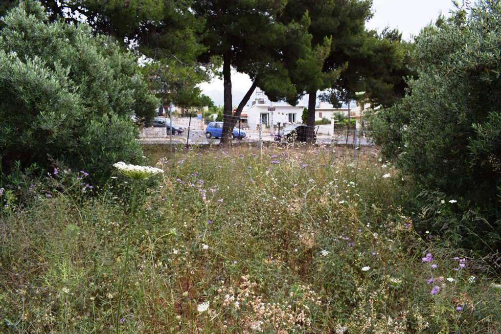 Terrain à Héraklion, Grèce, 392 m² - image 3