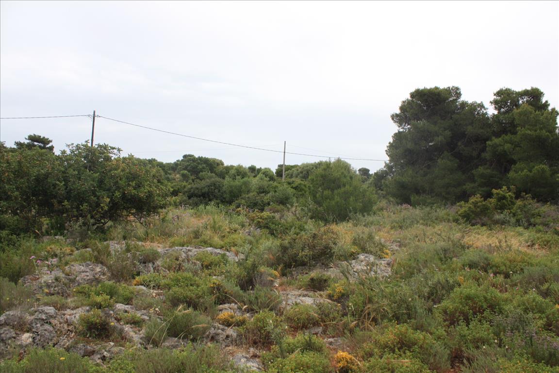 Terreno en Heraclión, Grecia, 5 900 m² - imagen 3