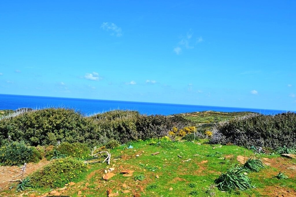 Land in Heraklion, Greece, 44 000 m² - picture 3